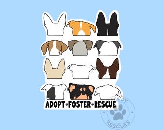 All Ears Featuring Bluegrass Bully Rescue