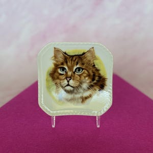 Vintage CM Inc Chadwick Miller Japan Small Porcelain Cat Plate /Trinket Dish, Orange Long Haired Cat Collectible