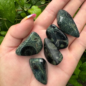Kambaba Jasper tumbles