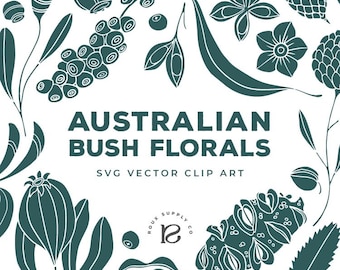 Australische Strauchblumen, Botanischer Vektor, SVG-Clip Art, einheimische Flora, Illustrationsset