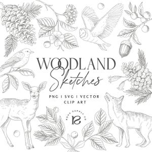 Op de afbeelding: Een verzameling zwart-wit lijntekeningen met een hert, een vos, een uil, een vogel, dennenappels, eikels en bladeren. De centrale tekst luidt WOODLAND Sketches PNG | SVG | VECTOR CLIP ART met het logo van Roux Supply Co eronder.