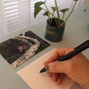 Happy Little Squirrel, Original Art Photography, Blank Note Card