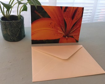 Ditch Lily, Note Card
