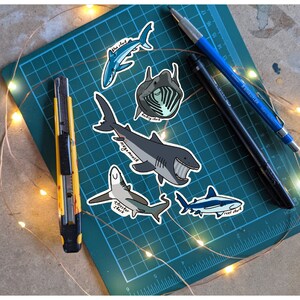 NOUVELLE collection d'autocollants Shark Boi 2.0 ; Décalcomanies en vinyle requin