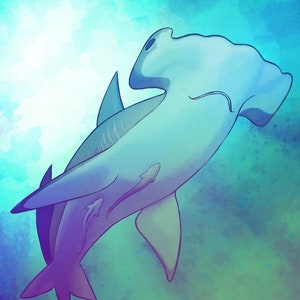 Hammerhead Shark - Print