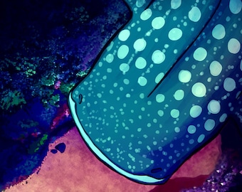 Whale Shark - Print