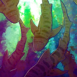 Leopard Sharks - Print
