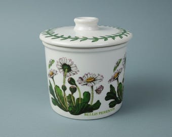 Tarro de mermelada de margarita Bellis Perennis del Jardín Botánico de Portmeirion de 1972, tarro de mostaza con tapa.