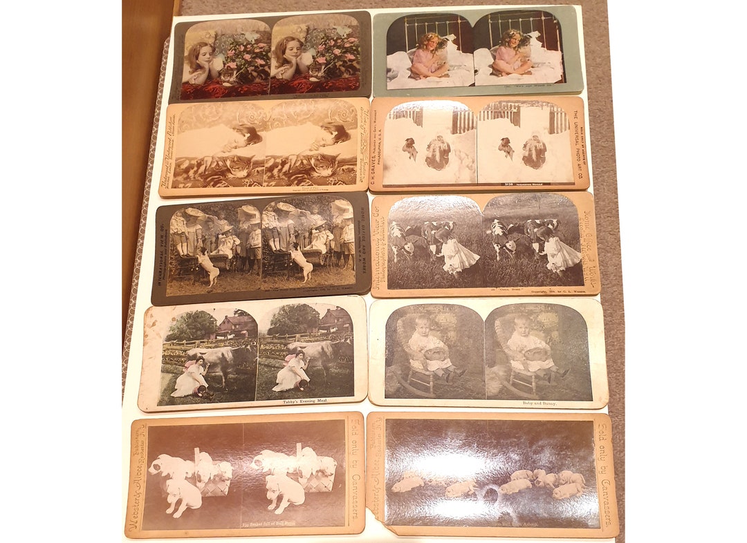 10 Late 1800s Children W/animals/pets Stereoview Stereoscope Etsy