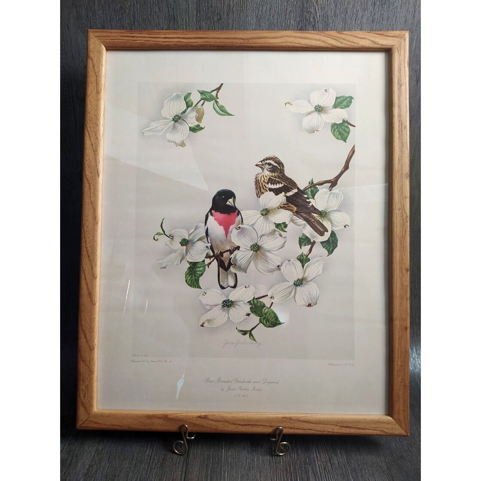 1950 Rose Breasted Grosbeaks & Dogwood Lithograph James Gordon