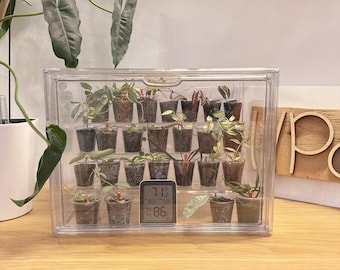 May include: A clear plastic terrarium containing small potted plants. A digital thermometer shows 21.6 degrees Celsius and 86% humidity. The terrarium sits on a wooden surface, with green plants visible.