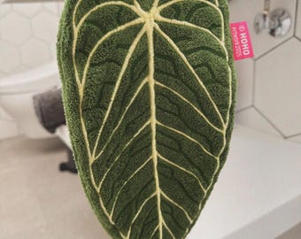Anthurium Papillilaminum, (fs Self) X (rl Self) - 2x Seedlings - Etsy