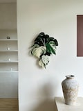 ORIGINAL DESIGN Monstera albo clock | Plant Lover Gift | Minimalist Plant Decor | Houseplant Wall Clock