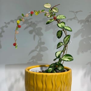 以下が含まれることがあります： 黄色のテクスチャデザインのセラミックポットに入ったホヤ植物。植物は緑と白の斑入りの葉を持っています。カラフルなビーズが付いた金のワイヤーが植物の上でアーチ状になっています。