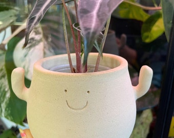 HANDMADE Oli&#39;s smiley face pot | rare plant pottery planter