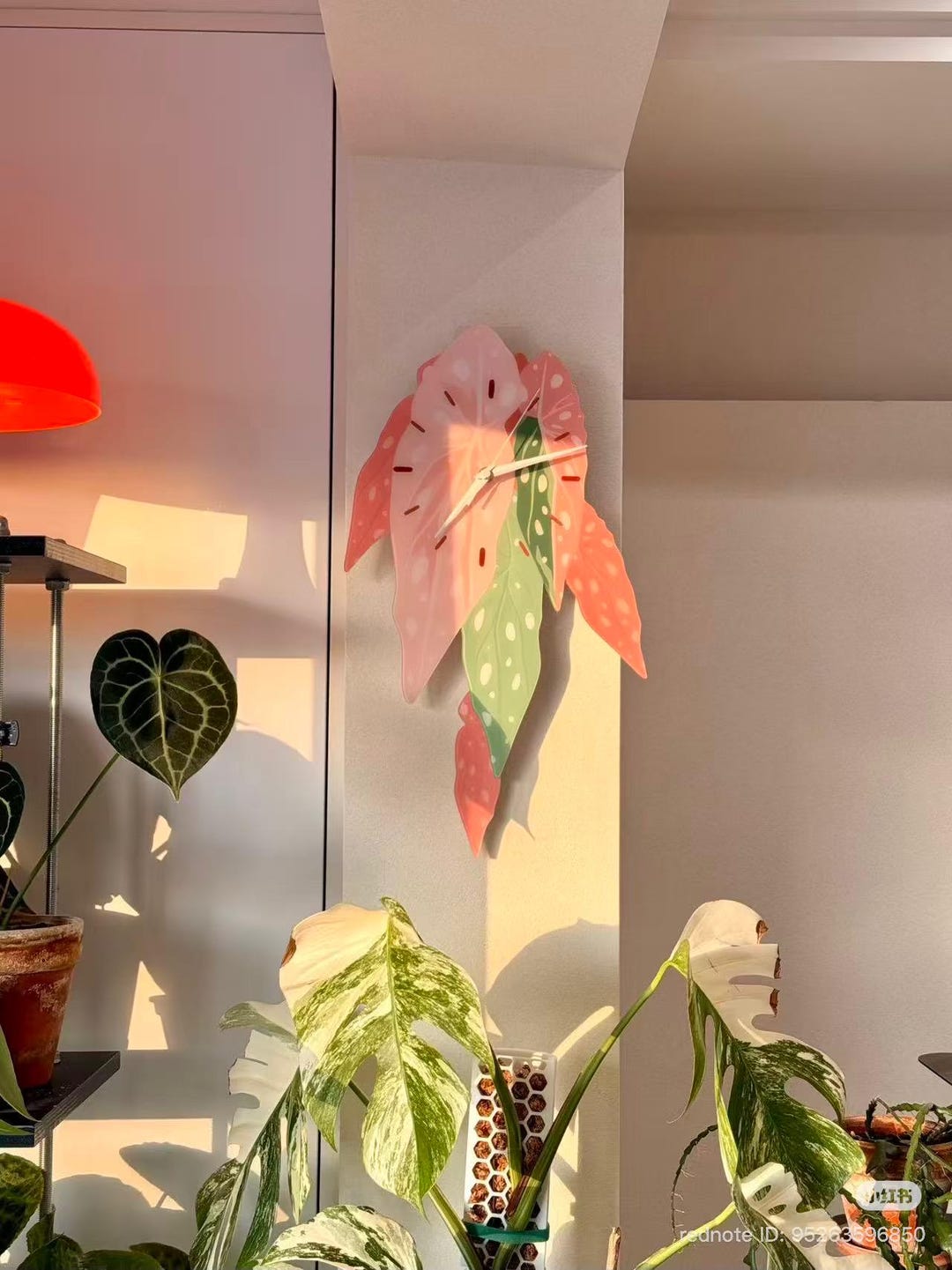 ORIGINAL DESIGN Pink Varigated Begonia Maculata Botanical Wall