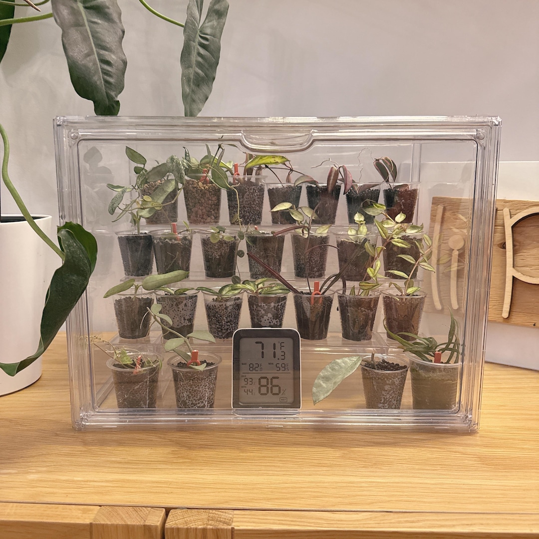 Mini greenhouse L | Acrylic clear plant propogation box | with standalone shelf