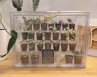 Minikas L | Doorzichtige acrylkweekdoos voor planten | met stand-alone plank