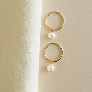 Sophisticated 14k Gold-Filled Hoops Featuring Freshwater Pearls