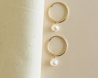 Sophisticated 14k Gold-Filled Hoops Featuring Freshwater Pearls