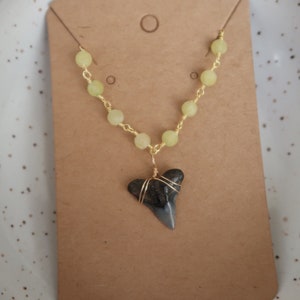 Custom shark tooth necklace