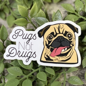 Espalhe o amor do Pug: adesivo de vinil 'Pugs Not Drugs' - à prova d'água, à prova de intempéries e adequado para máquina de lavar louça!