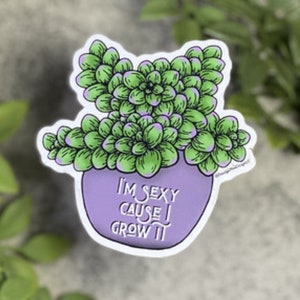 I'm Sexy Cause I Grow It Sticker