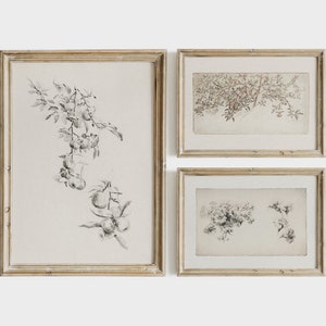 Botanical Sketch Print SET | Vintage Prints Neutral Beige | Antique Farmhouse Decor PRINTABLE North Prints | S33