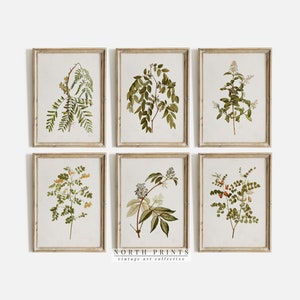 Printable Vintage Gallery Wall Art Set of 6 six Botanical - Etsy