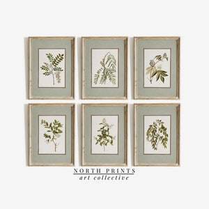 Vintage Botanische Galerie Wandkunst SET von sechs | Land Art Prints für Esszimmer | Muted Sage Green North Prints Digital DRUCKBAR | S6-21