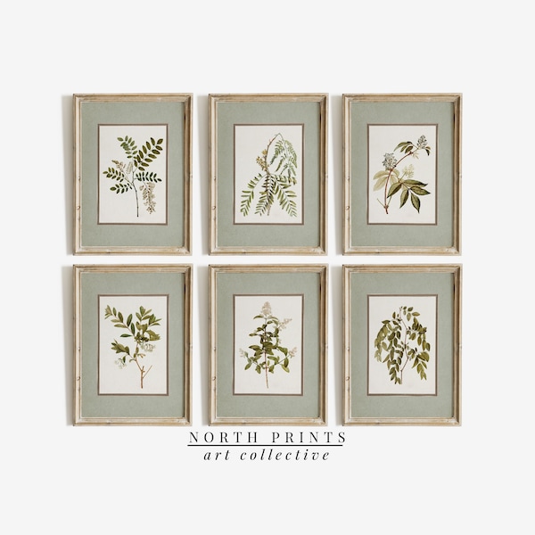 Vintage Botanical Wall Art Etsy