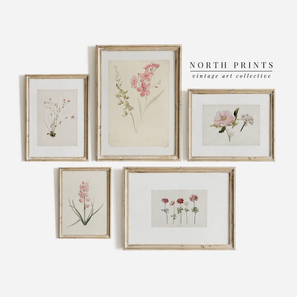 Conjunto de impressão de parede de galeria botânica rosa suave | Estampas de flores vintage | Decoração de berçário | IMPRIMÍVEL #S81