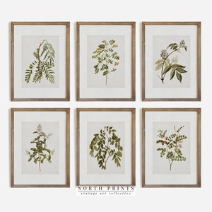 Vintage Botanical Gallery Wall Print SET | Rustic Wall Decor PRINTABLE Digital | North Print | S83