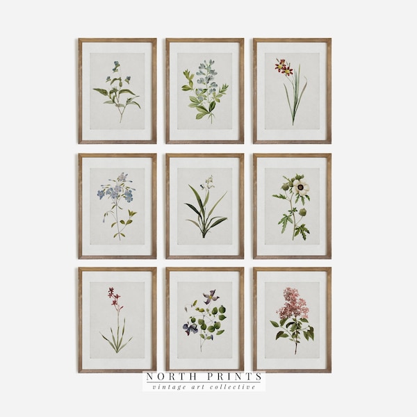 Vintage Botanical Gallery Wall SET | French Country Farmhouse PRINTABLE | North Prints | S9-1