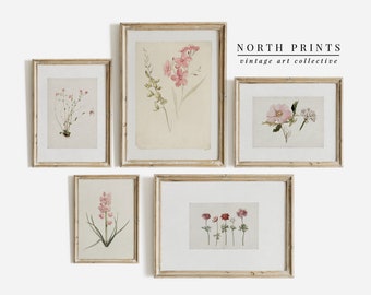 Soft Pink Botanical Gallery Wall Print SET | Vintage Flower Prints | Nursery Decor | PRINTABLE #S81