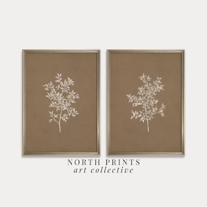 Könnte beinhalten: Zwei gerahmte Drucke mit braunem Hintergrund und weißen botanischen Illustrationen eines belaubten Zweigs mit kleinen weißen Blüten. Die Drucke sind mit "NORTH PRINTS art collective" betitelt.