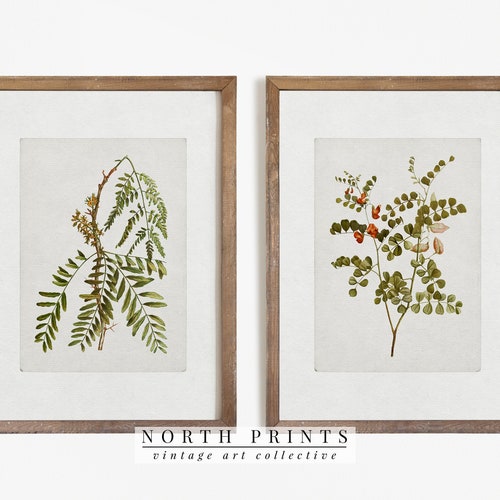 Farmhouse Decor PRINTABLE #S2-17 Vintage Botanical Print SET of Two ...