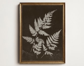 Antique Fern Botanical Print, Rustic Earthy Brown Plant Illustration, Digital Download Wall Art North Prints 12-12