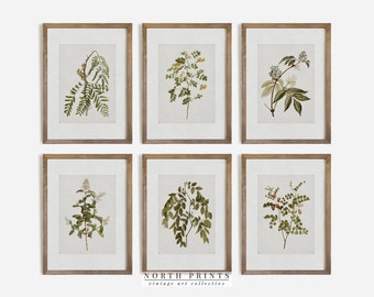 Vintage Botanical Print Set: Rustic Gallery Wall Art (Printable Digital Download) S-83