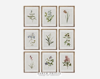 Vintage Botanical Gallery Wall SET | French Country Farmhouse PRINTABLE | North Prints | S9-1