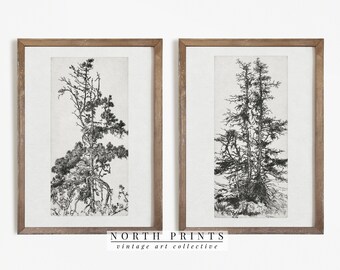 Simple pine tree sketch Simple pine tree sketch