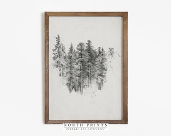 Pine Tree Drawing Etsy