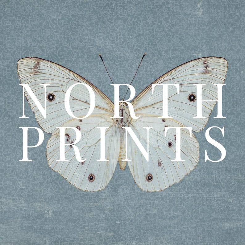 May include: A white butterfly with black spots on its wings against a blue background. The text "NORTH PRINTS" is superimposed on the butterfly.