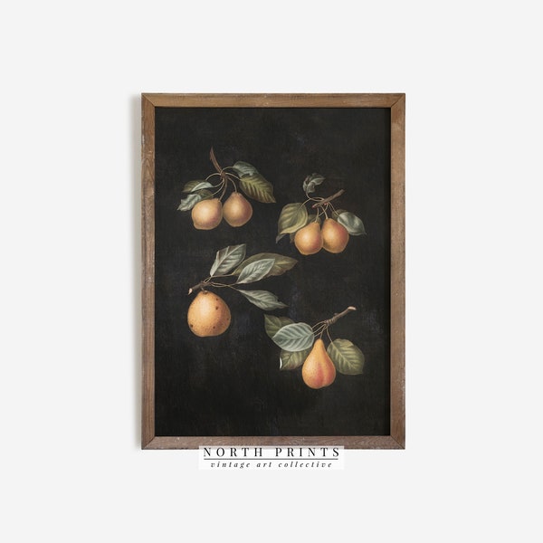 PRINTABLE Vintage Moody Kitchen Fruit Pear Painting | Dark Wall Art | North Prints Shop | Downloadable Digital | 1288