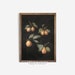 see more listings in the STILL LIFE section