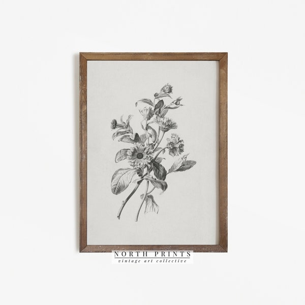 Vintage Flower Sketch | Antique Farmhouse Decor PRINTABLE Wall Art #314