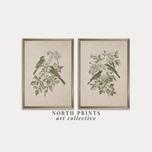 May include: Two framed art prints featuring detailed illustrations of birds perched on flowering branches. The artwork is in a vintage style with a muted green and beige color palette. The text "NORTH PRINTS art collective" is at the bottom.