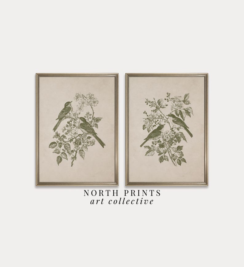 May include: Two framed art prints featuring detailed illustrations of birds perched on flowering branches. The artwork is in a vintage style with a muted green and beige color palette. The text "NORTH PRINTS art collective" is at the bottom.