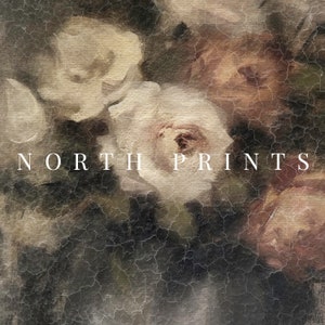 Pu&ograve; includere: Un primo piano di un dipinto che raffigura un bouquet di rose bianche e rosa su uno sfondo strutturato. Il testo "NORTH PRINTS" &egrave; visibile nella parte inferiore dell'immagine.