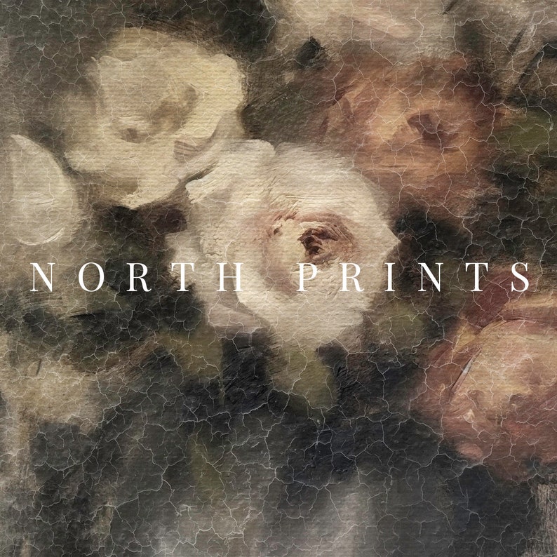 Pu&ograve; includere: Un primo piano di un dipinto che raffigura un bouquet di rose bianche e rosa su uno sfondo strutturato. Il testo "NORTH PRINTS" &egrave; visibile nella parte inferiore dell'immagine.